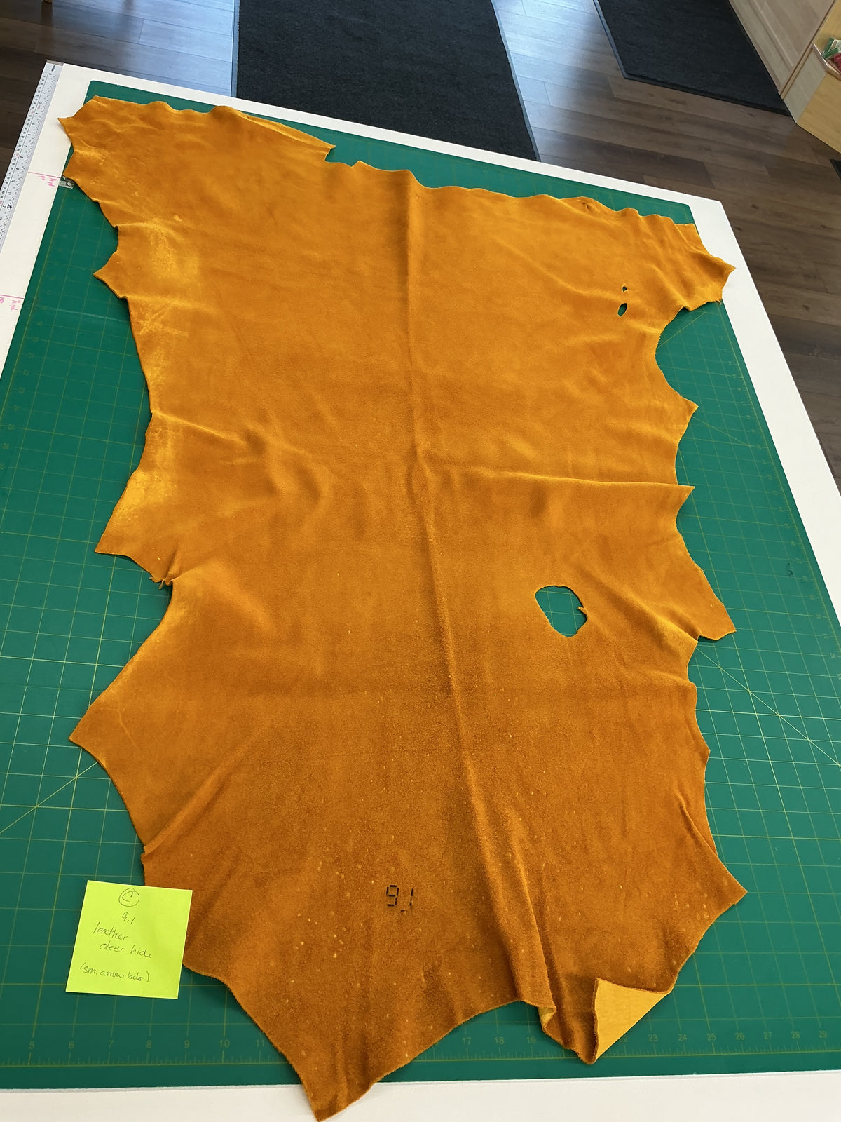 Deer Hide C