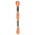 Floss Pale Pumpkin
