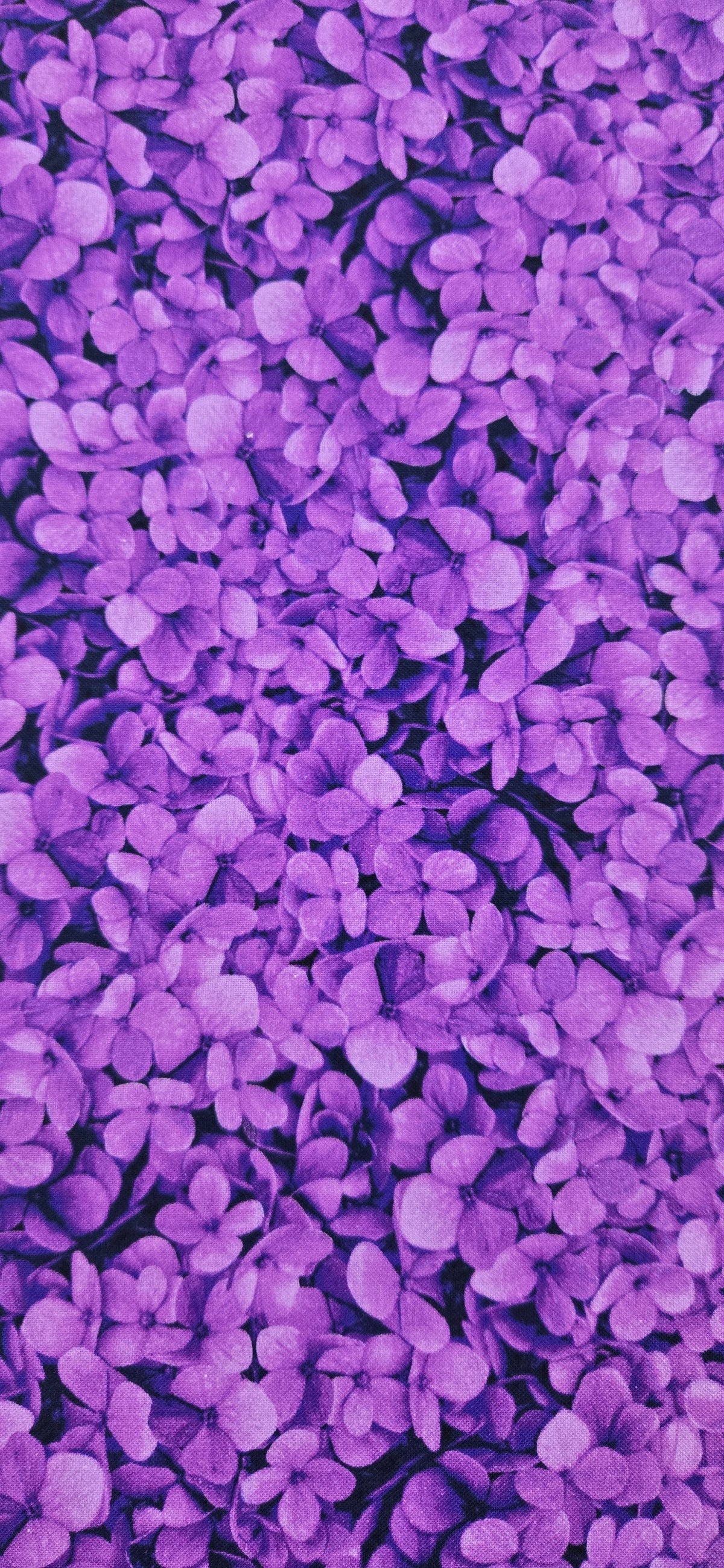 CF Flora Magenta Fabric