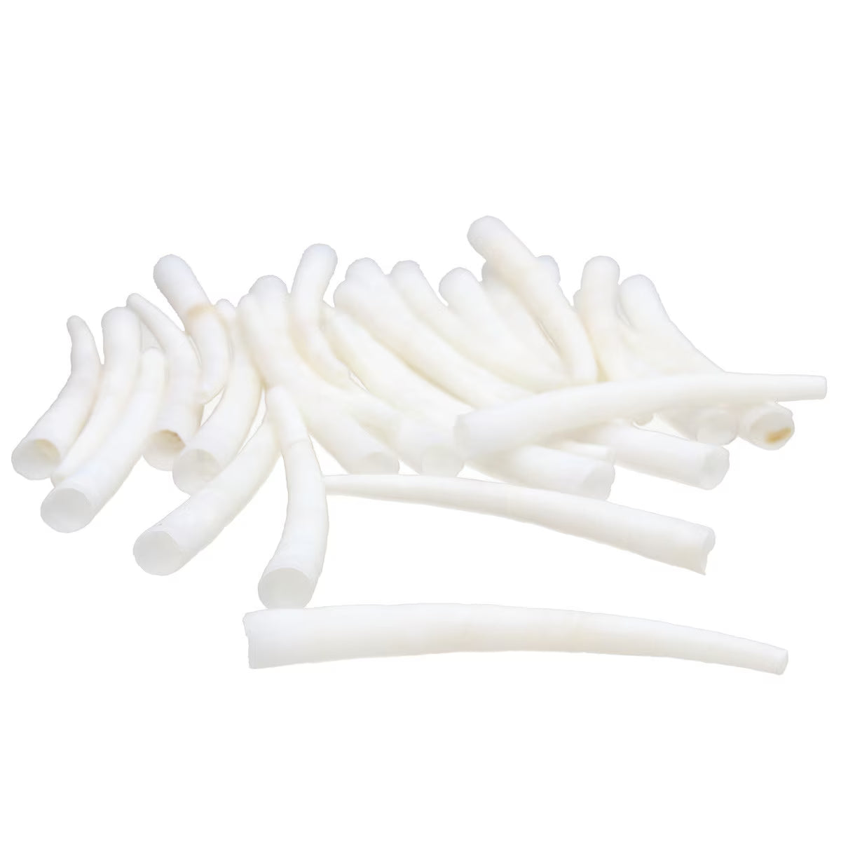 Dentalium Smooth White 1.5-2 Inches 100 Pcs