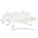 Dentalium Smooth White 1.5-2 Inches 100 Pcs