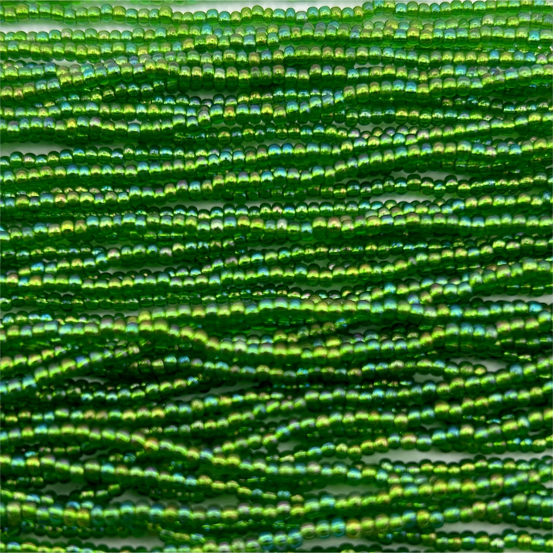 Czech Seed Bead 11/0 S/L Green Rainbow Strung