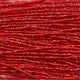 Czech Seed Bead 11/0 S/L Red Rainbow Strung