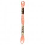 Floss Very Light Apricot