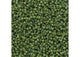 Miyuki Delica 11/0 5.2g Vial Frosted Glazed Rainbow Green