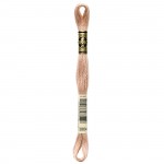 Floss Light Mocha Beige