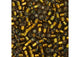 Miyuki Delica 11/0 5.2g Vial Golden Olive S/L Dyed