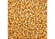 Miyuki Delica 11/0 3.3g vial Gold 24kt AB Plated