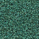 Miyuki Delica 11/0 5.2g Vial Frosted Glazed Rainbow Green Mint