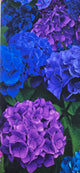 CF Flora Panel Bloom Fabric