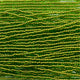 Czech 11/0 Transparent Green/Copper Lined Strung