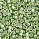 Miyuki Delica 11/0 5.2g Vial Green Moss Opaque Glavanized-Dyed
