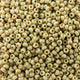 Miyuki Seed Bead 11/0 Frost Op Glaze Rnbw Ivory 24gm/Tb