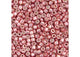 Miyuki Delica 11/0 5.2g Vial Pink Blush Opaque Glavanized-Dyed