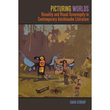 American Indian Studies: Picturing Worlds: Visuality and Visual Sovereignty in Contemporary Anishinaabe Literature (paperback)