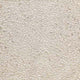 Miyuki Seed Beads 11/0 Pearl Ceylon
