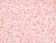 Miyuki Delica 11/0 5.2g Vial Crystal Pale Salmon Ceylon