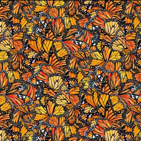 CF Monarch Dance Wings