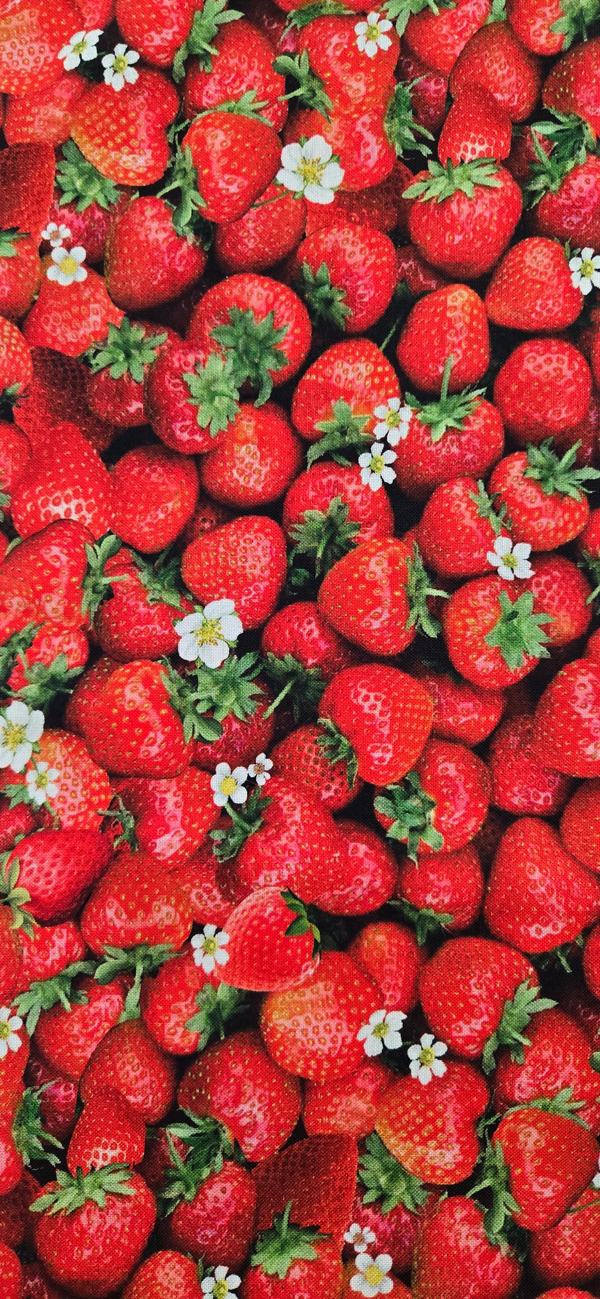CF Fruit Red Fabric