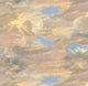 Landscape Medley Sky