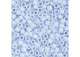 Miyuki Delica 11/0 5.2g Vial Light Blue Sky Op