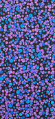 CF Dot Black Fabric