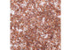 Miyuki Delica 11/0 5.2g Vial Fancy Lined Taupe