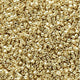 Miyuki Delica 11/0 - Duracoat Galvanized Bright Gold