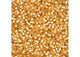 Miyuki Delica 11/0 5.2g vial Gold S/L