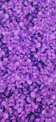 CF Flora Magenta Fabric