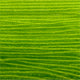 Czech Seed Bead 11/0 Tr Light Green Strung