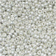 Miyuki Seed Bead 11/0 Frosted Sterling Silver Plated 24 Gm