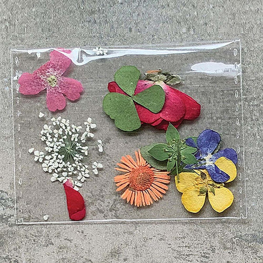 Mini Dried Flower Resin Inclusions