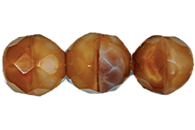 FP 6mm Op Tortoise (50 Pcs)