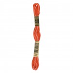 Floss Var Crl