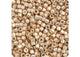Miyuki Delica 11/0 5.2g Vial Champagne Opaque Glavanized-Dyed