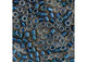 Miyuki Delica 11/0 5.2g Vial Blue Teal Sparkle Topaz Lined