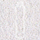 Miyuki Round 15/0 White Pearl 8.2 Gm/Tb