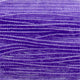 Czech Seed Bead 11/0 Transparent Alexandrite Strung