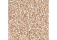 Miyuki Delica 11/0 5.2g Vial Pale Apricot AB Silk Inside Dyed