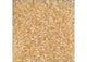 Miyuki Delica 11/0 5.2g Vial Crystal Ivory Transparent Luster