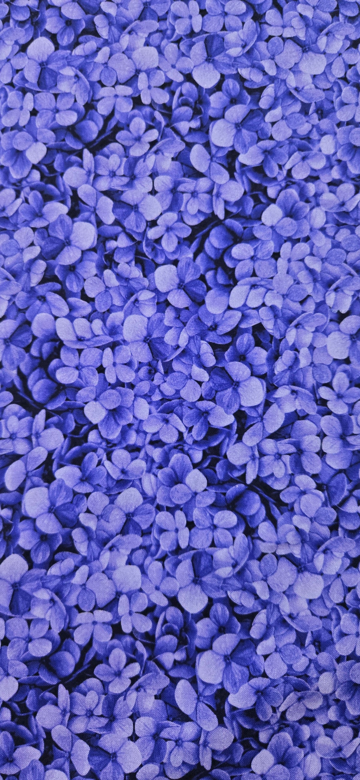 CF Flora Purple 2 Fabric