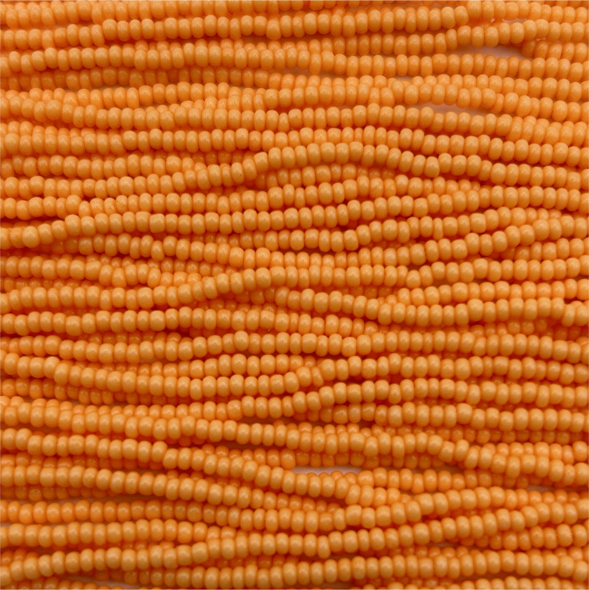 Czech Seed Bead 11/0 Orange Chalk Dyed Solgel Strung