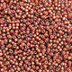 Miyuki Seed Bead 11/0 Duracoat Nutmeg Silver Lined