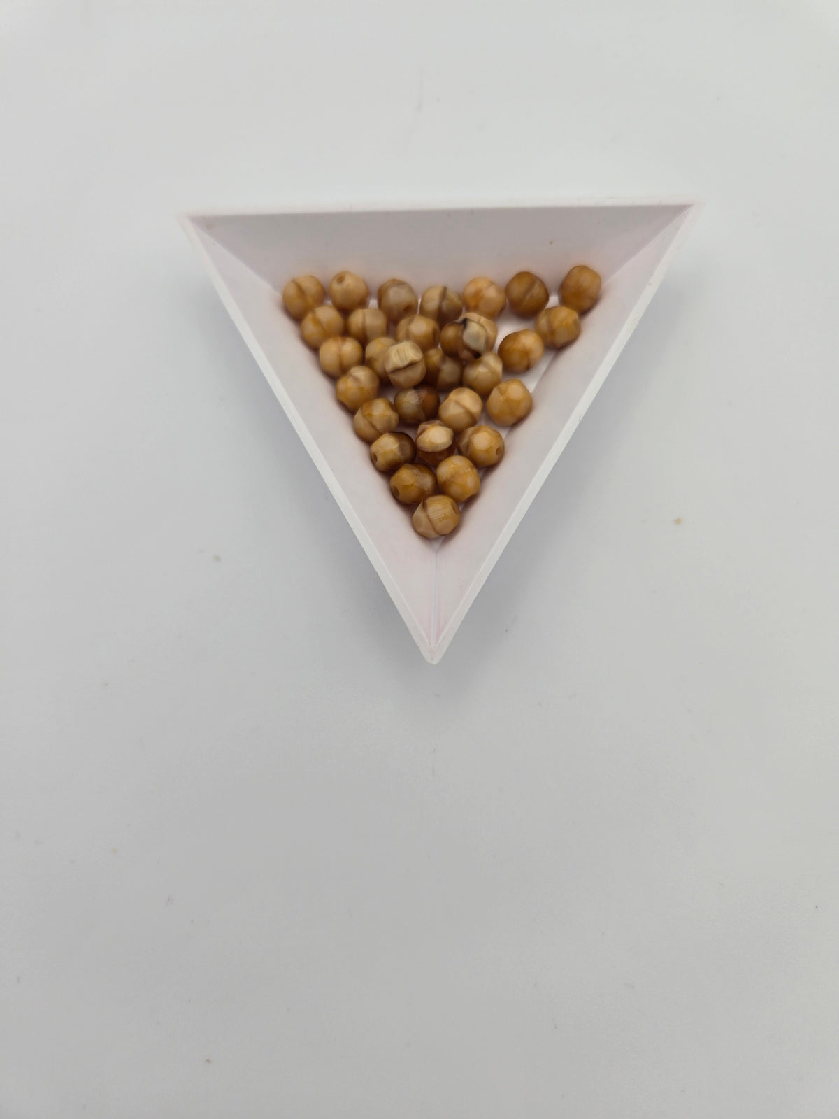 FP 6mm Op Tortoise (50 Pcs)